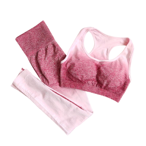 Sports Bra and Leggings Set