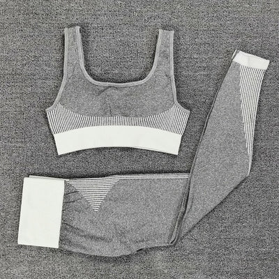 Seamless Dry Fit Yoga Set