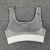 Seamless Dry Fit Yoga Set