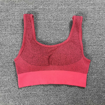 Seamless Dry Fit Yoga Set