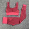 Seamless Dry Fit Yoga Set