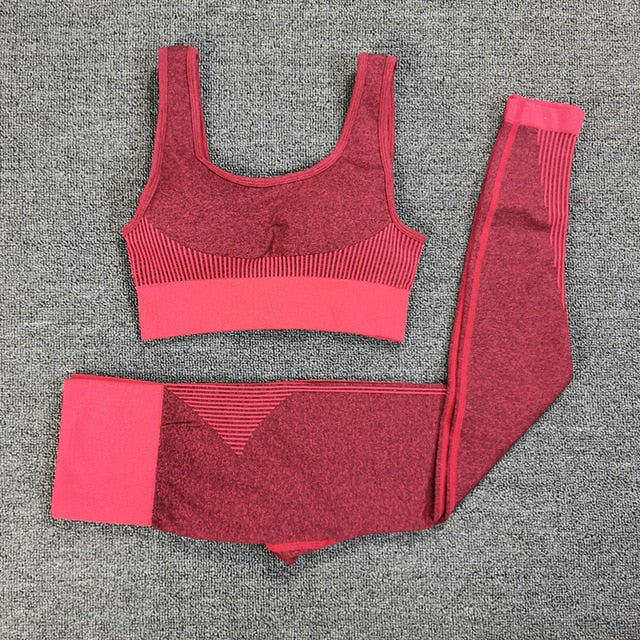 Seamless Dry Fit Yoga Set