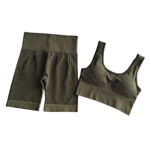 Seamless Dry Fit Yoga Set