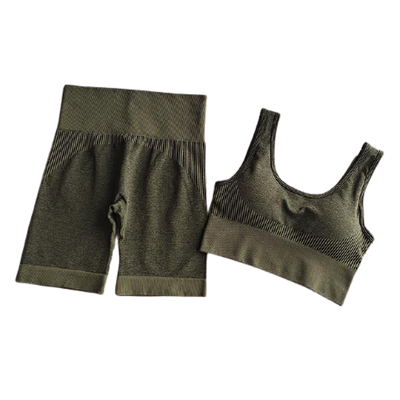 Seamless Dry Fit Yoga Set