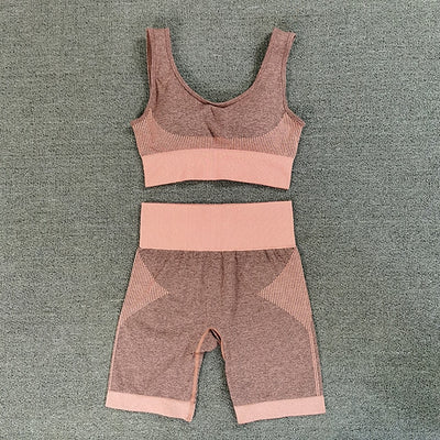 Seamless Dry Fit Yoga Set