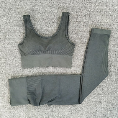 Seamless Dry Fit Yoga Set