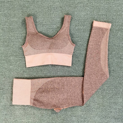 Seamless Dry Fit Yoga Set